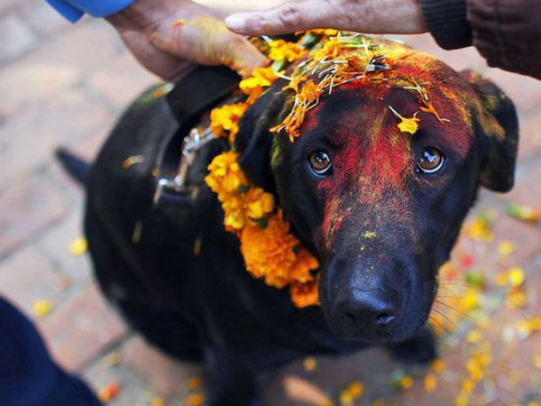 किसने कराया निर्माण