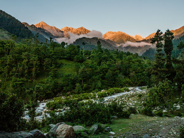 चत्पाल