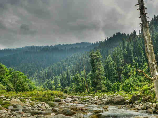 चत्पाल में क्या करें