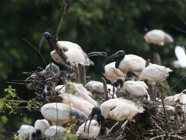 क्या साथ लेकर जाएं