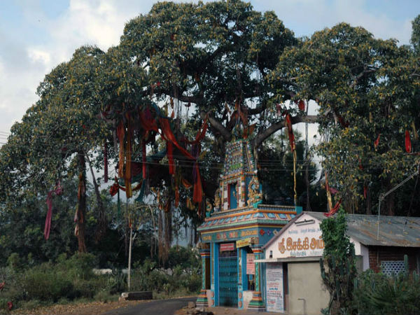 अनेक मंदिर