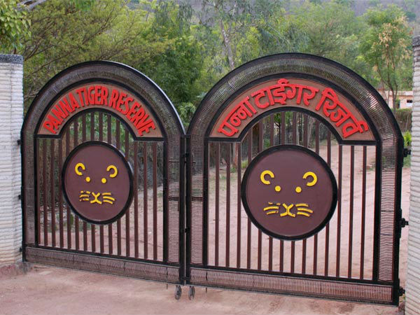 कैसे पहुंचे पन्ना नैशनल पार्क