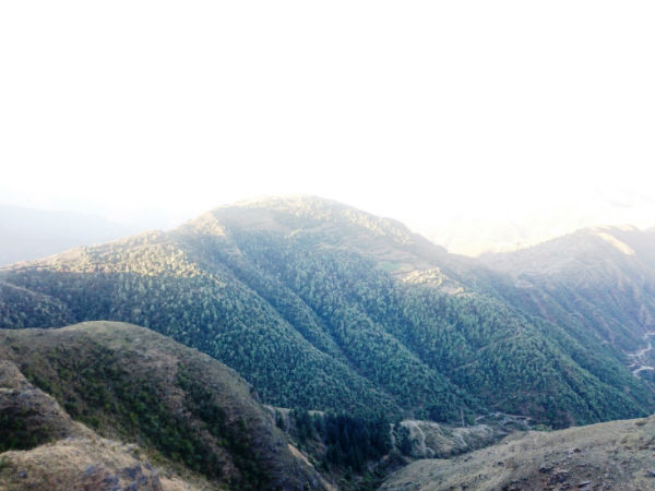 पांचाली परम्परा