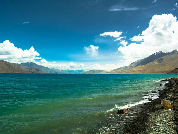 पैंगोंन त्सो झील, लद्दाख