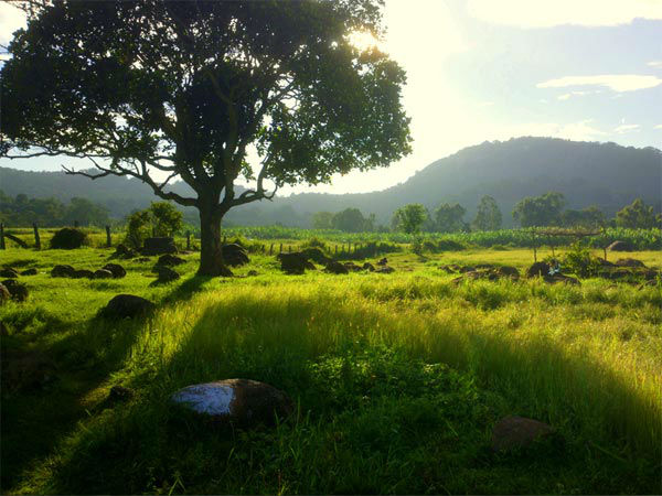 स्वामीमलाई ट्रैक