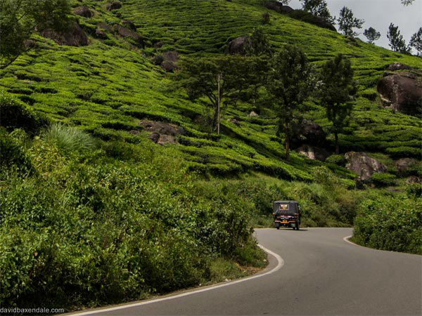 कोच्चि - मुन्नार