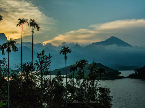 वायानाड