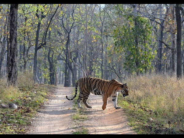 नेशनल पार्क की सैर
