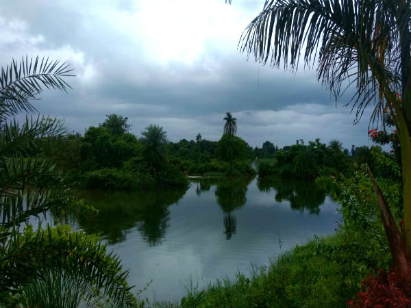 kommaghatta lake bangalore kommaghatta lake bangalore
