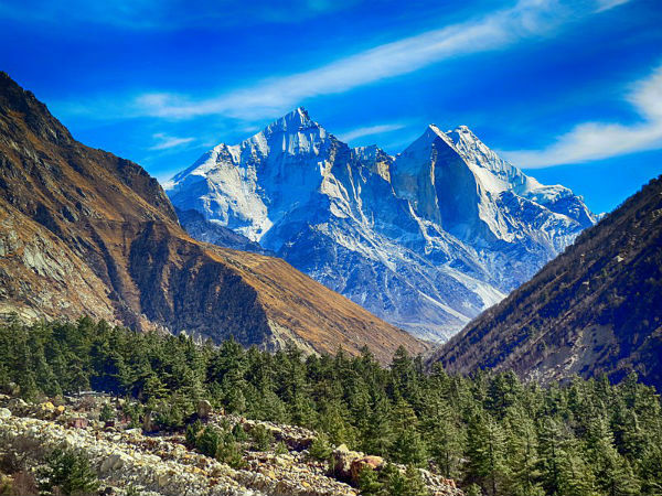 Gangotri National Park Gangotri National Park