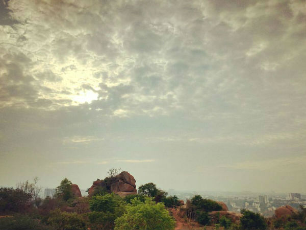 Turahalli forests Turahalli forests