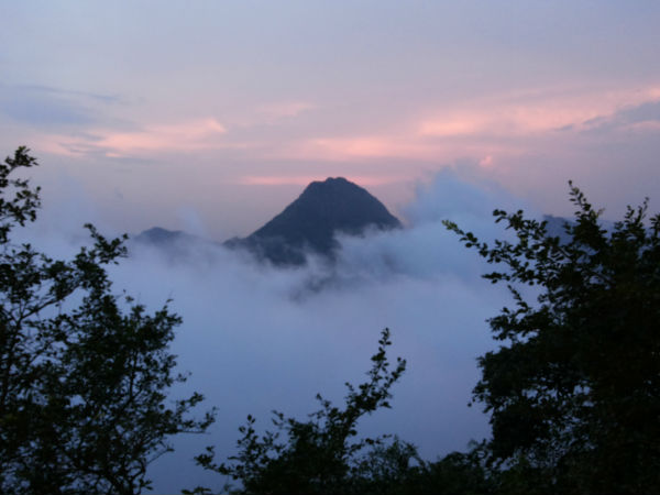 क्या देखे