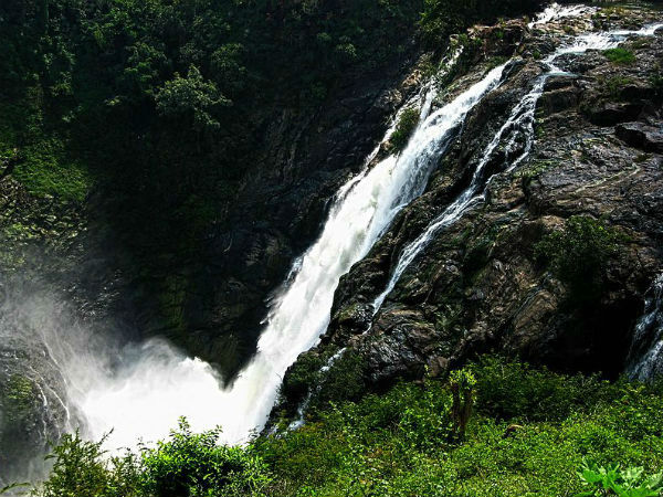 ड्राइविंग निर्देश