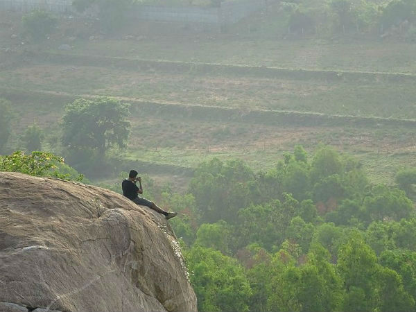 सफर में देखे तुराहल्लीा जंगल