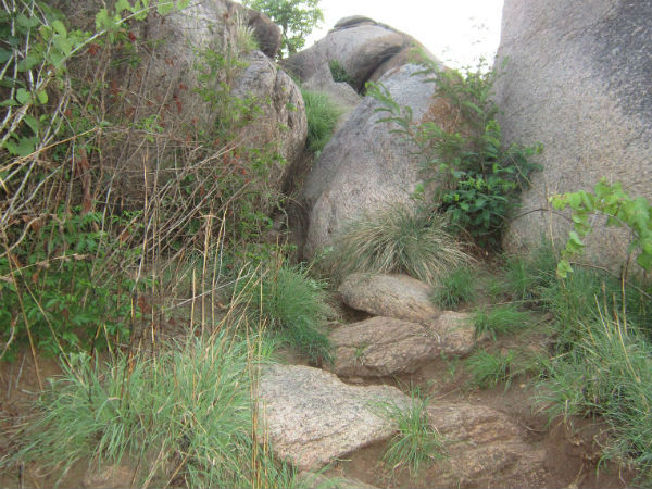 क्या साथ लेकर जाएं