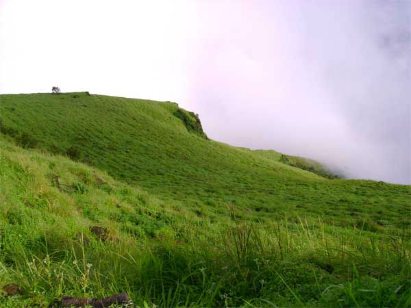 सकलेश्पुर