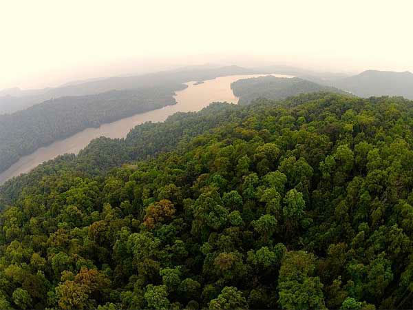 शरावथी वन्यजीव अभ्यारण्य