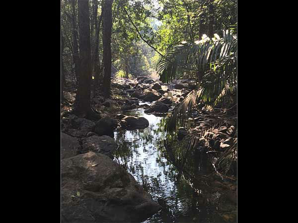 भगवान महावीर अभ्यारण्य और मोल्लेम नेशनल पार्क