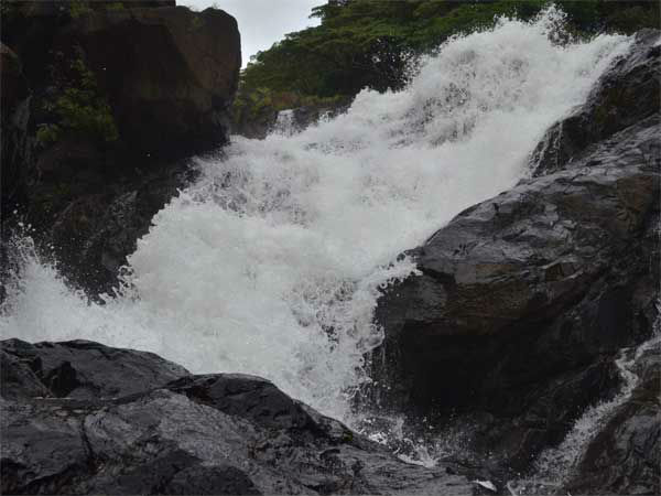दूधसागर में कैंपिंग और ट्रैकिंग