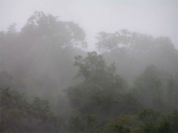 कैलाश गुड्डा