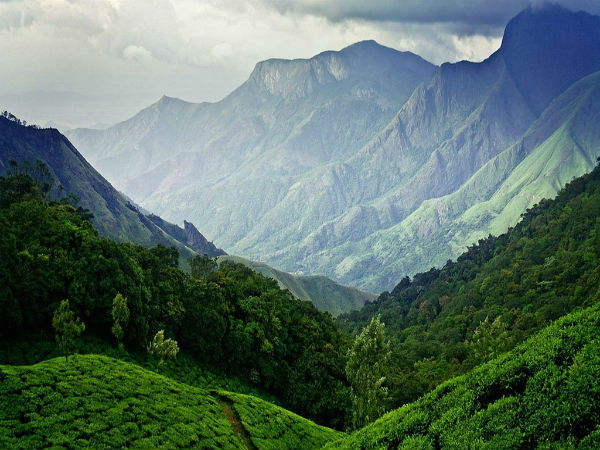 मुन्नार,केरला