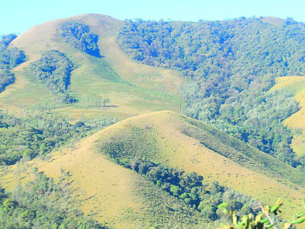 मुल्लायांगिरी