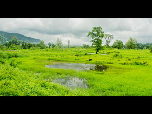 रूट 1 से मुंबई से शिर्डी के बीच स्टॉप