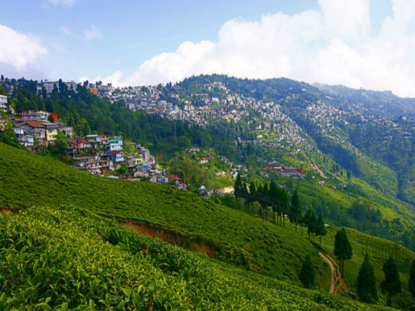 darjeeling darjeeling