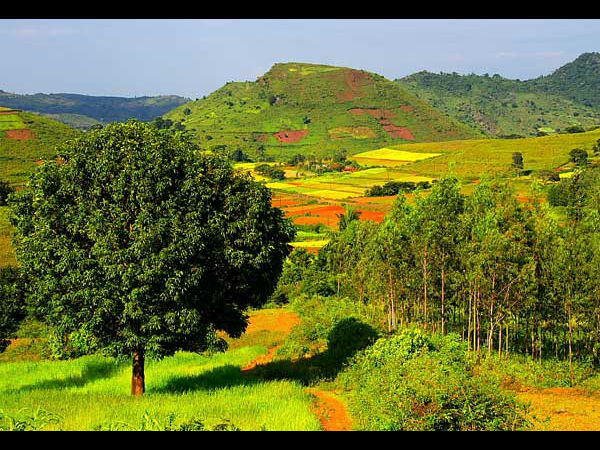 Araku-valley Araku-valley
