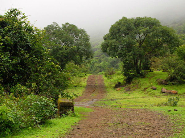 लोनावला से ट्रैक