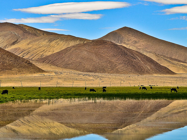 शांति