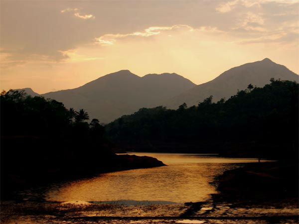 वायनाड