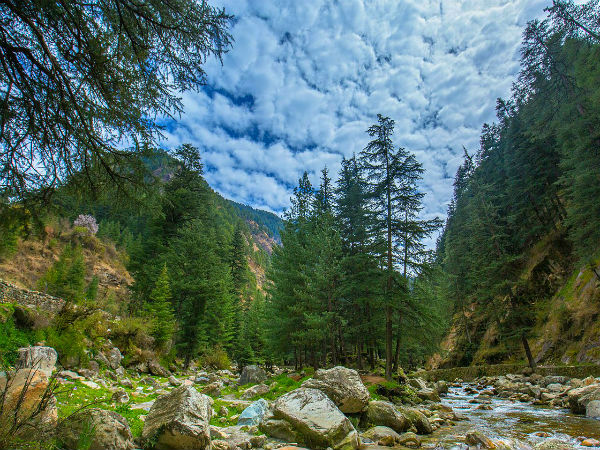 रोहरू से बुरान घाटी पास