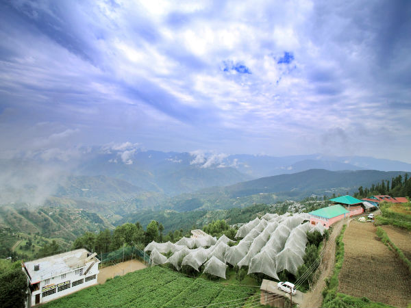 फागू