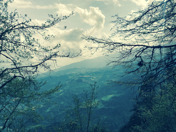 तवांग