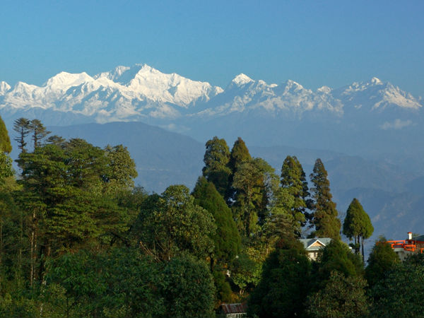 लावा
