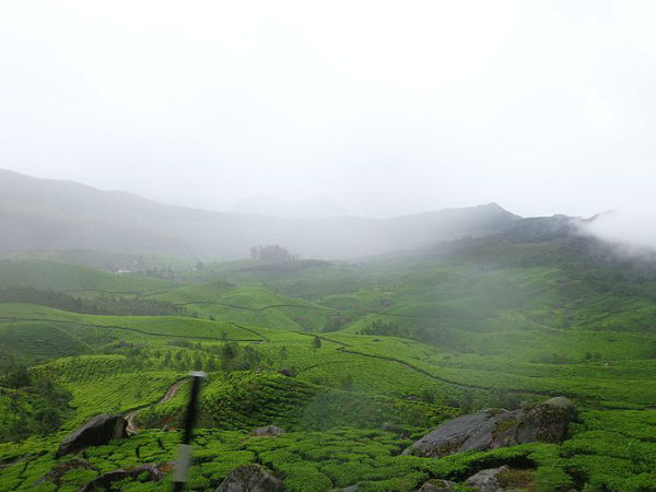 ट्रैकिंग का मजा