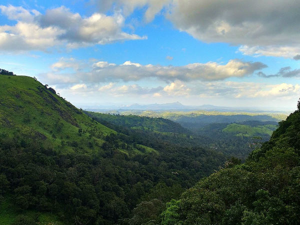 वायनाड