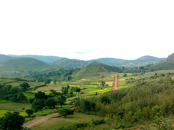Araku Araku