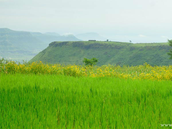 सतारा