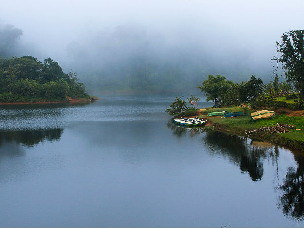 गावी