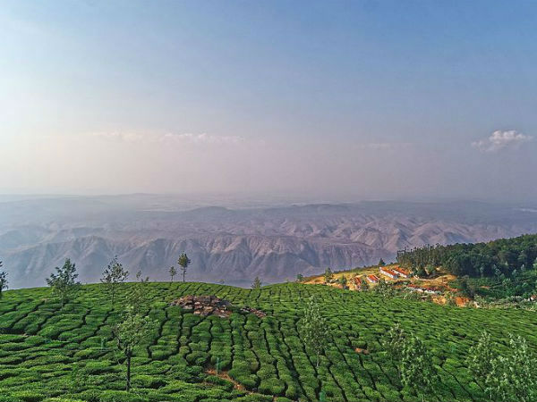 कोटागिरि
