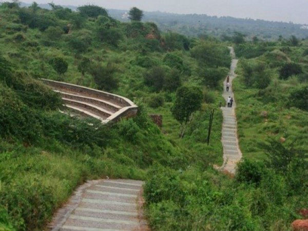 अरावली बायोडाइवर्सिटी पार्क, गुरुग्राम