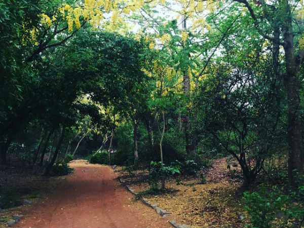 संजय वन
