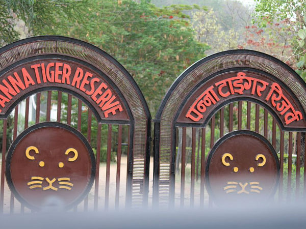 पन्ना राष्ट्रीय उद्यान