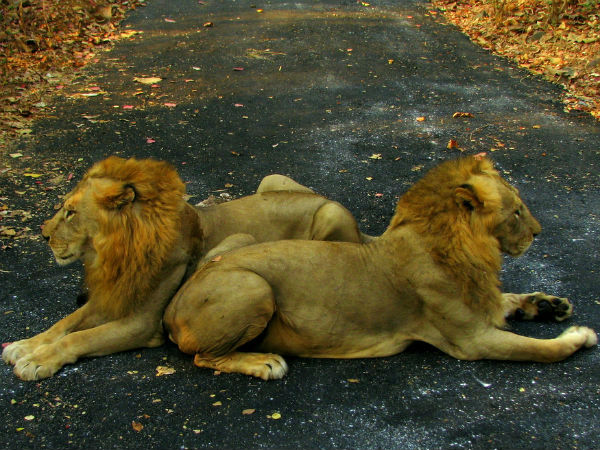 शहर की सीमा के भीतर सबसे बड़ा राष्ट्रीय उद्यान