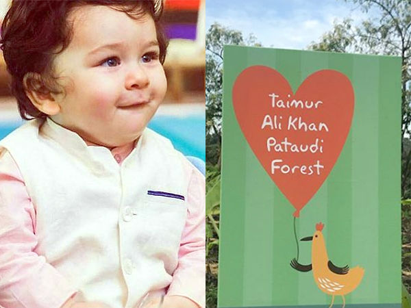 Taimur Ali Khan forest Taimur Ali Khan forest