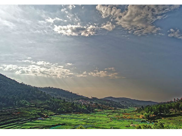कोटागिरी