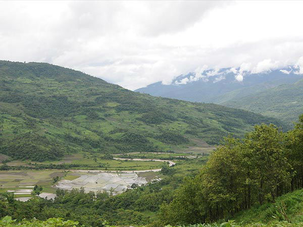 कोहिमा