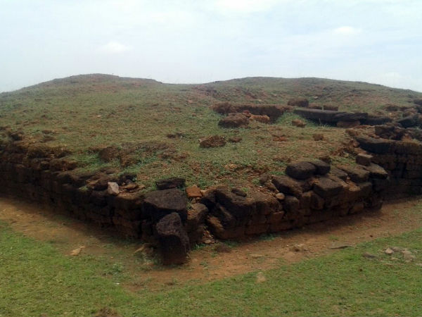 पुष्पगिरी विश्वविद्यालय (ओड़िसा)